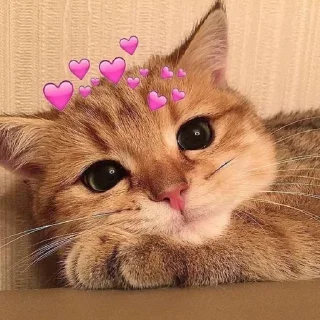 Sticker from Cute