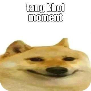🐶 emoji Tobi's Telegram sticker 11 of 13