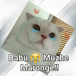 Sticker from Cats In Hindi @CrazyStarSticker