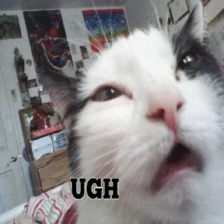 Sticker from Swag