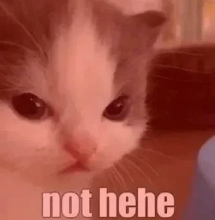 😡 emoji Meow's pack Telegram sticker 24 of 47