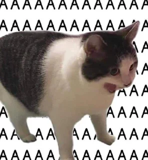 🛡 emoji Meow's pack Telegram sticker 2 of 47