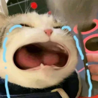 Sticker from Meow's stickers part 2