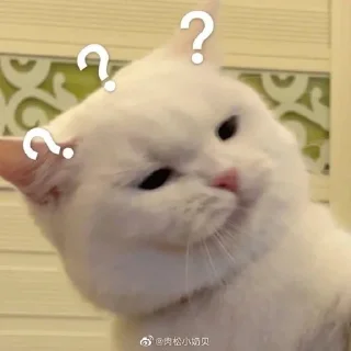 🛡 emoji Meow's pack Telegram sticker 14 of 47