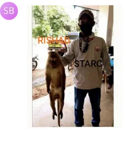 🚦 emoji India waale gc 💙🇮🇳 pack by @QuotLyBot Telegram sticker 8 of 120