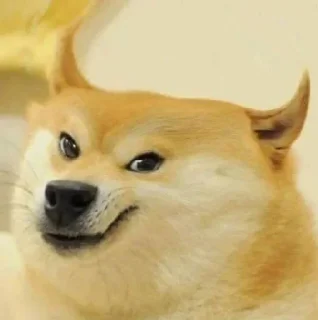 Sticker from Doge / Cheems : @Wickers