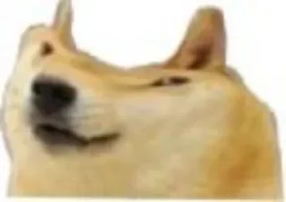 😂 emoji DOGE MC by @venomXcrazy doGE MC CHEEMS PACK — @stckrRobot Telegram sticker 21 of 83