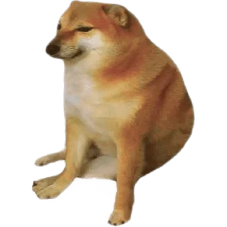 Sticker from Cheems Doge