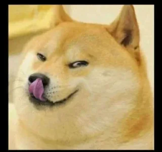 Sticker from Doge / Cheems : @Wickers