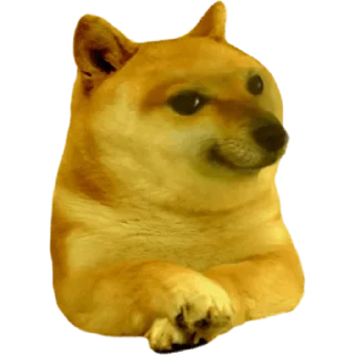 😀 emoji Cheems Doge Telegram sticker 22 of 30