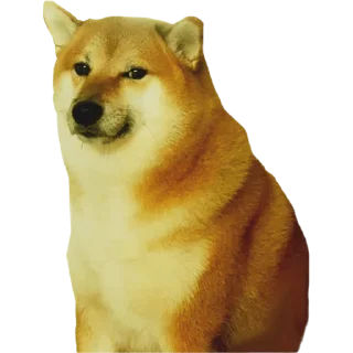 😀 emoji Cheems Doge Telegram sticker 16 of 30