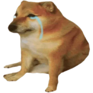 😀 emoji Cheems Doge Telegram sticker 10 of 30