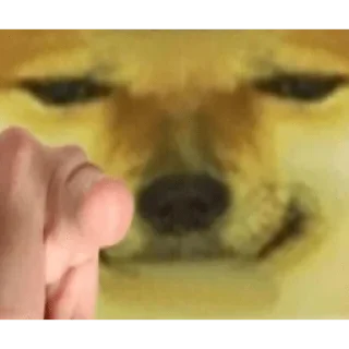 😀 emoji Cheems Doge Telegram sticker 23 of 30