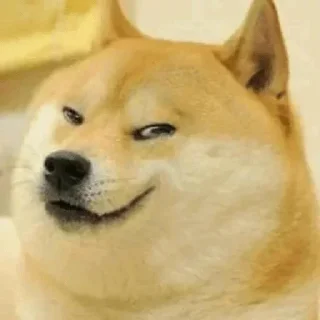 Sticker from Doge / Cheems : @Wickers