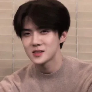 ➖ emoji DBW Sehun me² : :。@VAQUEENA Telegram sticker 16 of 63