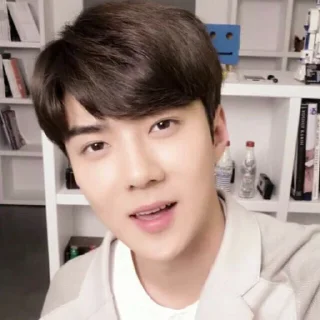 ➖ emoji DBW Sehun me² : :。@VAQUEENA Telegram sticker 8 of 63