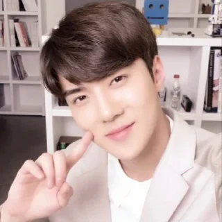 ➖ emoji DBW Sehun me² : :。@VAQUEENA Telegram sticker 7 of 63