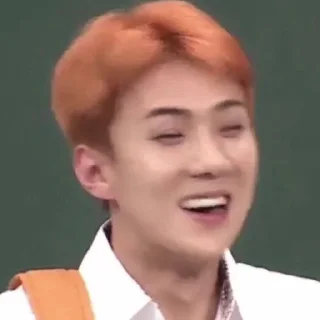 ➖ emoji DBW Sehun me² : :。@VAQUEENA Telegram sticker 13 of 63