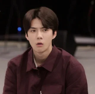 ➖ emoji DBW Sehun me² : :。@VAQUEENA Telegram sticker 20 of 63