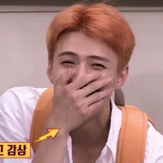 ➖ emoji DBW Sehun me² : :。@VAQUEENA Telegram sticker 12 of 63