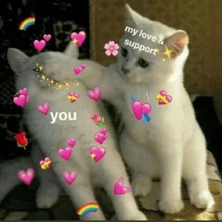 😍 emoji 🌸࿐Cαsαnovα❥❥❥❥'s Sticker Pack (@Zeroo_Twoo_Bot) Telegram sticker 10 of 24