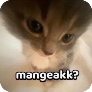 Sticker from ambil aja mek