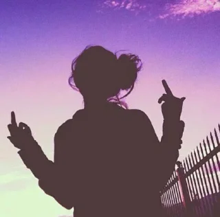 🖕 emoji 『 @stickers_gifs_store 』 Aesthetic 💜🦋✨ Telegram sticker 18 of 120