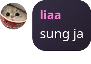 👨‍👩‍👦 emoji lialio Telegram sticker 20 of 51