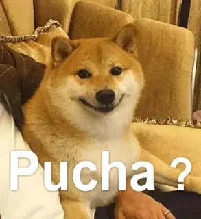 🤔 emoji @BADDAsS_FUFA rishabh ka pack Telegram sticker 8 of 56