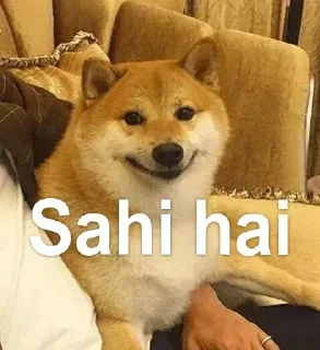 🤔 emoji @BADDAsS_FUFA rishabh ka pack Telegram sticker 14 of 56
