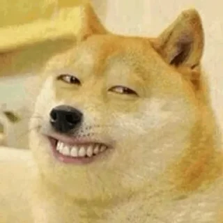 🐕 emoji JustDog × @burntpacks Telegram sticker 17 of 120