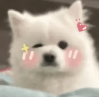 😉 emoji BlondeChaya × @burntpacks Telegram sticker 10 of 50