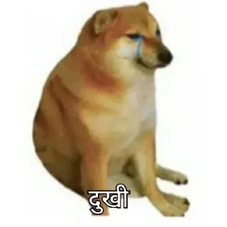 🥺 emoji 𝐇𝐢𝐧𝐝𝐢 𝐃ᴏɢ 𝐌ᴇᴍᴇ 💀 @indianstickermeme — @stckrRobot Telegram sticker 14 of 94