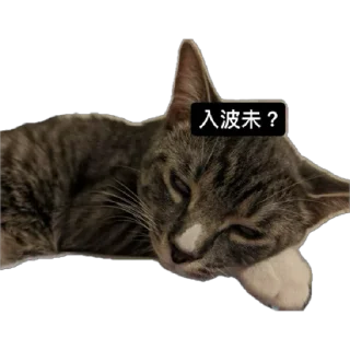 Sticker from 🩵𝓠𝓤𝓔𝓔𝓝🩵