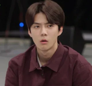 Sticker from Sehun
