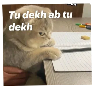 🐱 emoji Aap Ki chinta • @sticbot Telegram sticker 23 of 32
