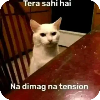 🐱 emoji Aap Ki chinta • @sticbot Telegram sticker 20 of 32