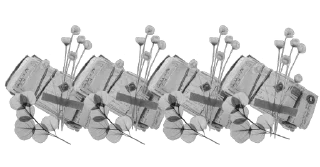 🕊 emoji monochrome nya cean ozawa Telegram sticker 18 of 78