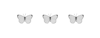 🕊 emoji monochrome nya cean ozawa Telegram sticker 8 of 78