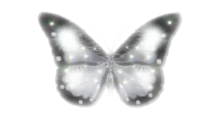 🕊 emoji monochrome nya cean ozawa Telegram sticker 13 of 78