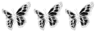 🕊 emoji monochrome nya cean ozawa Telegram sticker 6 of 78