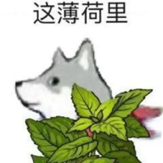 🐦 emoji 逗比4.0 Telegram sticker 5 of 106