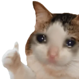 😀 emoji Funny Expressions Telegram sticker 19 of 22