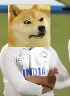 🤔 emoji SMOKE [🇮🇳]s kang pack Telegram sticker 5 of 8
