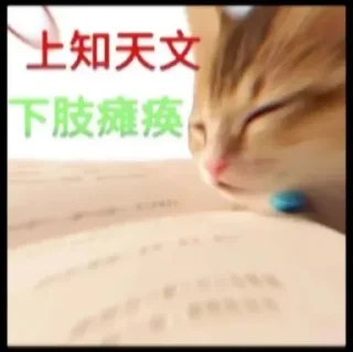 Sticker from 奇奇怪怪_莫名其妙