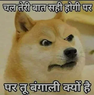 🙂 emoji @bauddhik_samuh Funny hogaya sir Telegram sticker 21 of 43