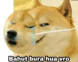 🙂 emoji @bauddhik_samuh Funny hogaya sir Telegram sticker 9 of 43