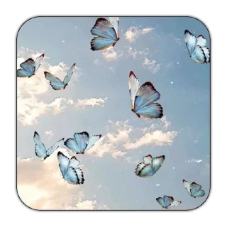🌟 emoji Butterfly 🦋 ⃝⃪𐏓 :: @MrUnknownS Telegram sticker 8 of 21