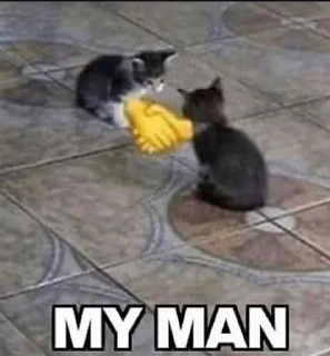 Sticker from @Hex_a_decimal's kang pack Vol.2