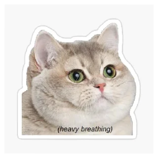 😄 emoji Bubbles Telegram sticker 7 of 12